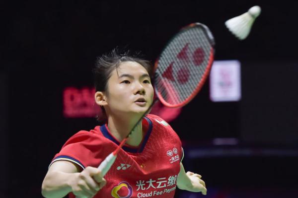 篮板和护框 篮板和护框