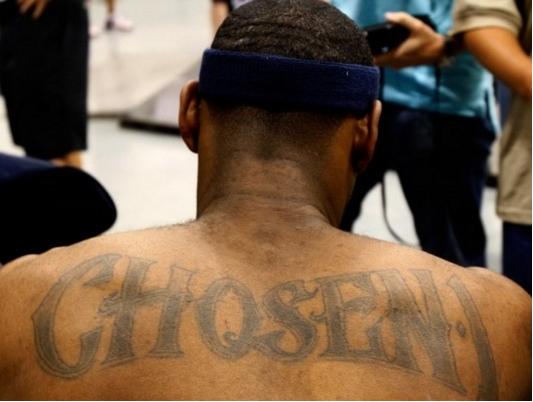 团战结构被 团战结构被